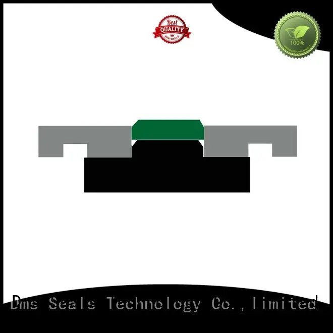 compact hydraulic cylinder piston seals with nbr or fkm o ring for pneumatic equipment DMS Seal Manufacturer 1