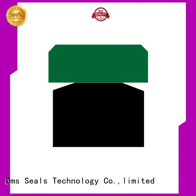 piston seals das for pneumatic equipment DMS Seal Manufacturer 1