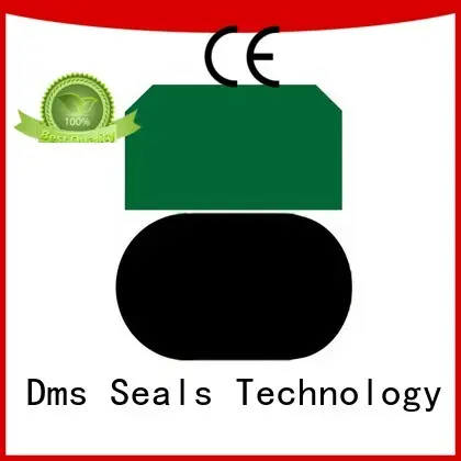 dpt piston seals glyd ring for light and medium hydraulic systems 1
