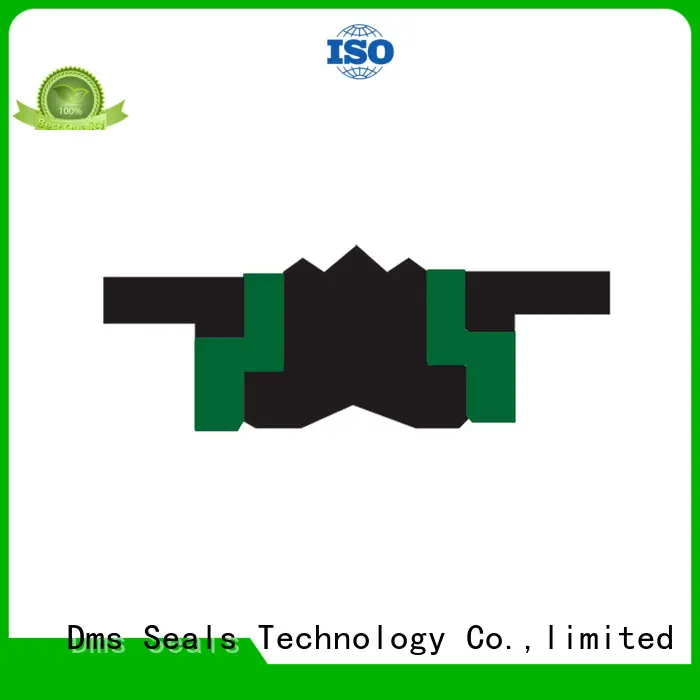 compact rubber piston seals glyd ring for pneumatic equipment DMS Seal Manufacturer 1