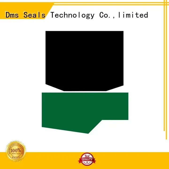 DMS Seal Manufacturer ptfe rod seals with nbr or fkm o ring for sale 1