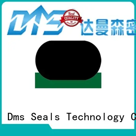 DMS Seal Manufacturer gsjw push rod seal supplier for sale 1