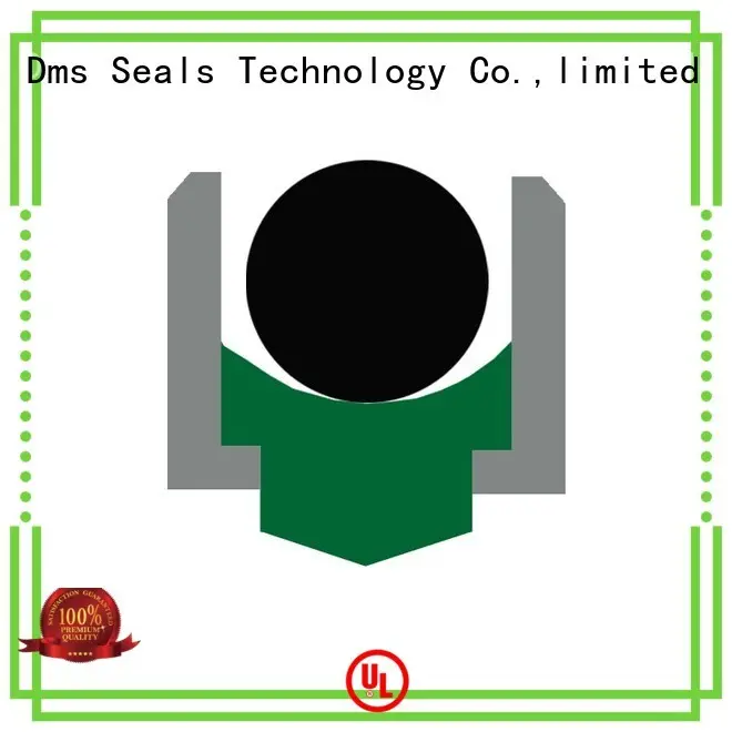 DMS Seal Manufacturer hydraulic rotary shaft seals online for automotive equipment 1
