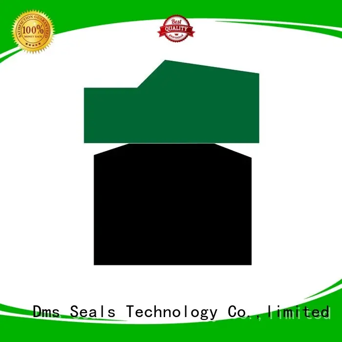 DMS Seal Manufacturer compact hydraulic piston seals dkdf for light and medium hydraulic systems 1
