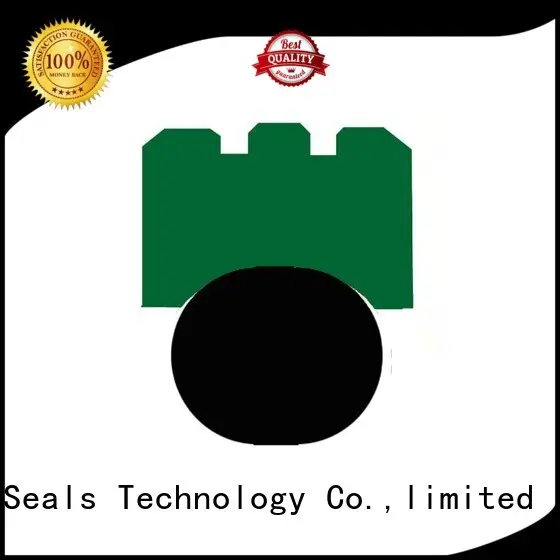 DMS Seal Manufacturer ptfe rotary seals manufacturer oi for automotive equipment 1
