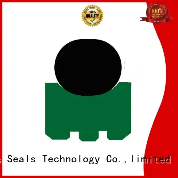 oi rotary shaft seals with nbr or fkm o ring for automotive equipment DMS Seal Manufacturer 1