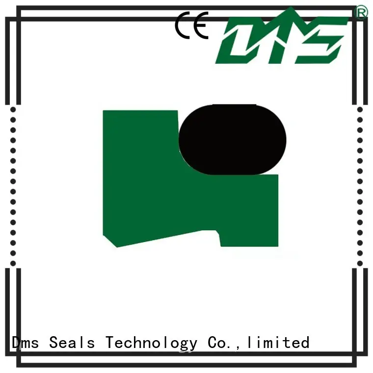 dpt hydraulic wiper seals manufacturer for cranes DMS Seal Manufacturer 1