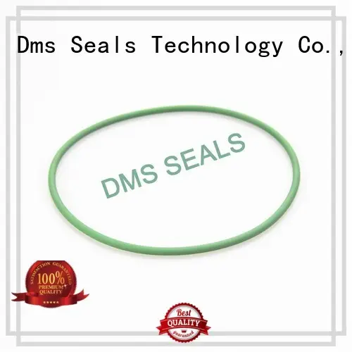 hydraulic wiper seals nbr for static sealing DMS Seal Manufacturer 1