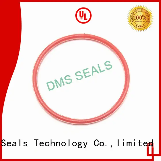DMS Seal Manufacturer rubber metric wiper seal nbr for sale 1