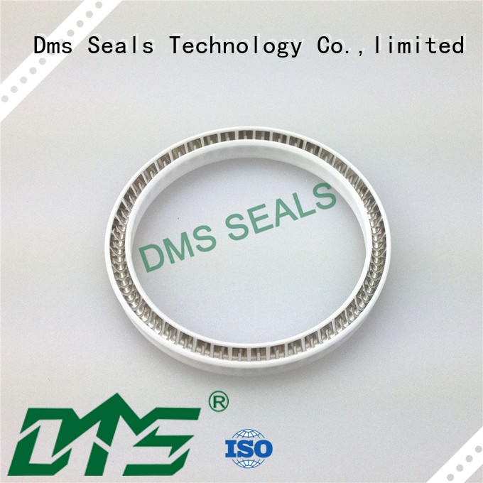 DMS Seal Manufacturer food and medicine industry spring energized seals parts for reciprocating piston rod or piston single acting seal 1