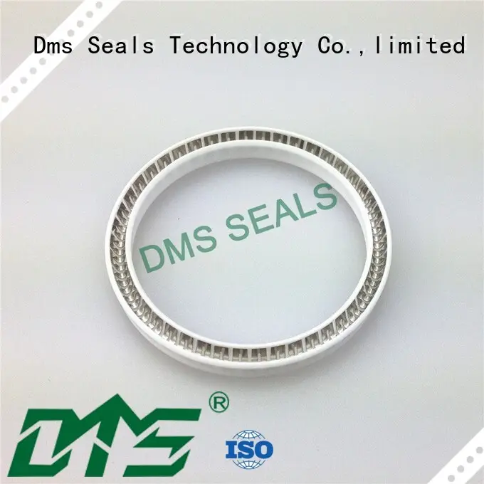 DMS Seal Manufacturer food and medicine industry spring energized seals parts for reciprocating piston rod or piston single acting seal 1