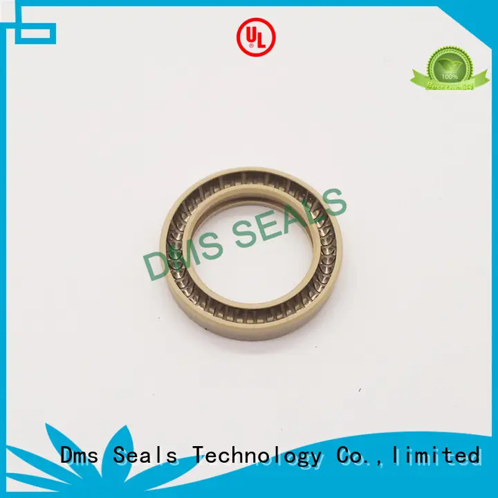 DMS Seal Manufacturer virgin spring energized seals solutions for reciprocating piston rod or piston single acting seal 1