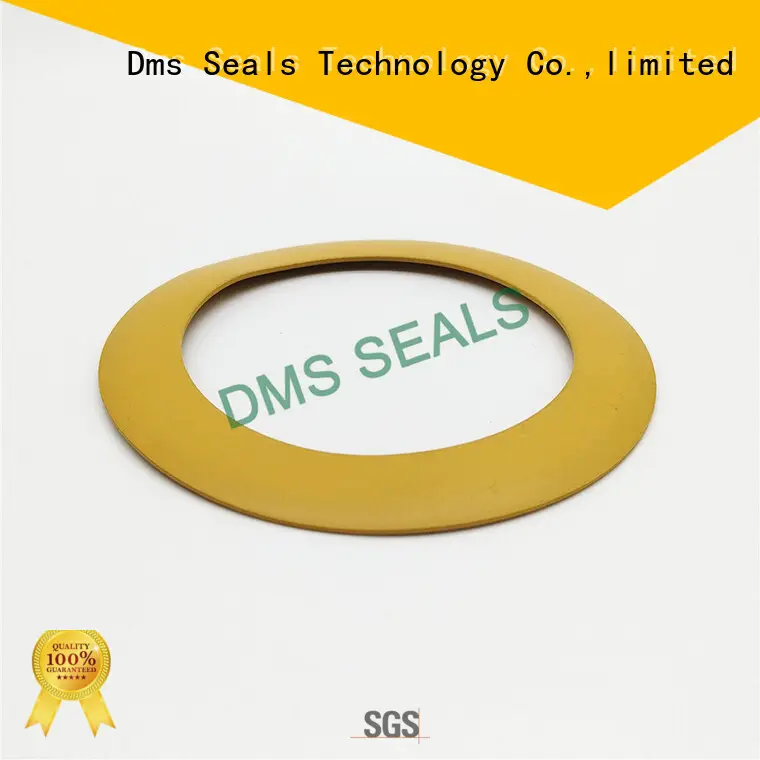brt elastomeric gasket brt for preventing the seal from being squeezed DMS Seal Manufacturer 1