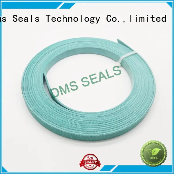 resin oil seal manufacturer guide strip for sale 1