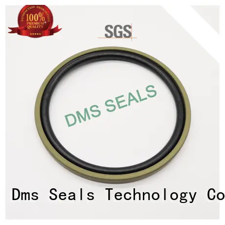 spgw hydraulic seals catalogue tpm for piston and hydraulic cylinder DMS Seal Manufacturer 1