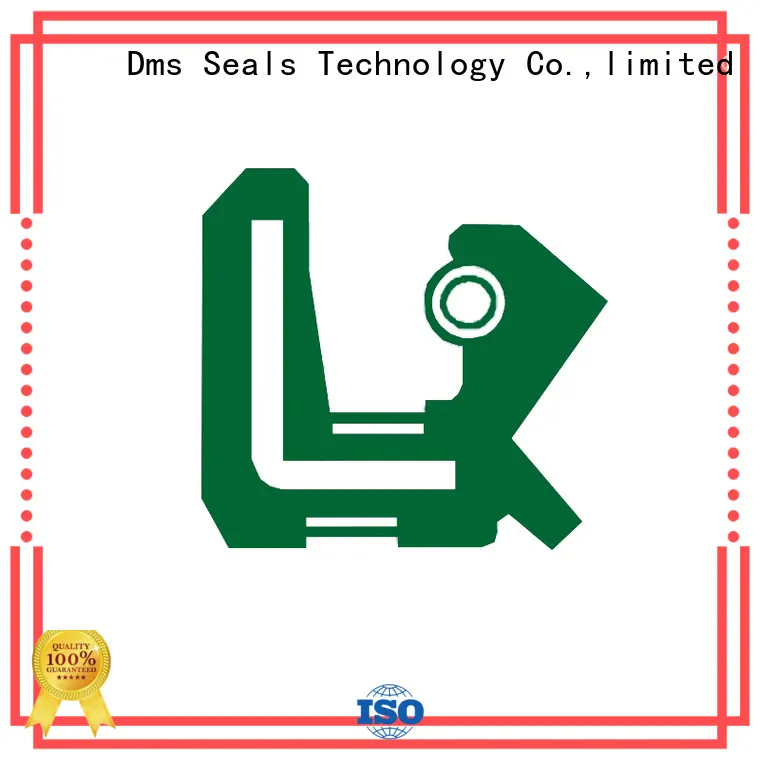 tc tcm oil seals tc for low and high viscosity fluids sealing DMS Seal Manufacturer 1