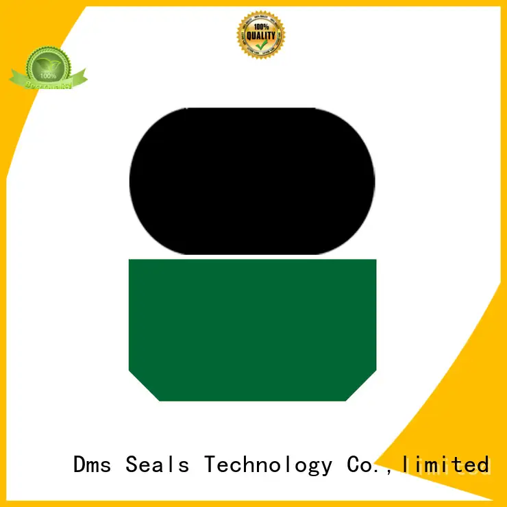 hydraulic rod seals tdi for pressure work and sliding high speed occasions DMS Seal Manufacturer 1