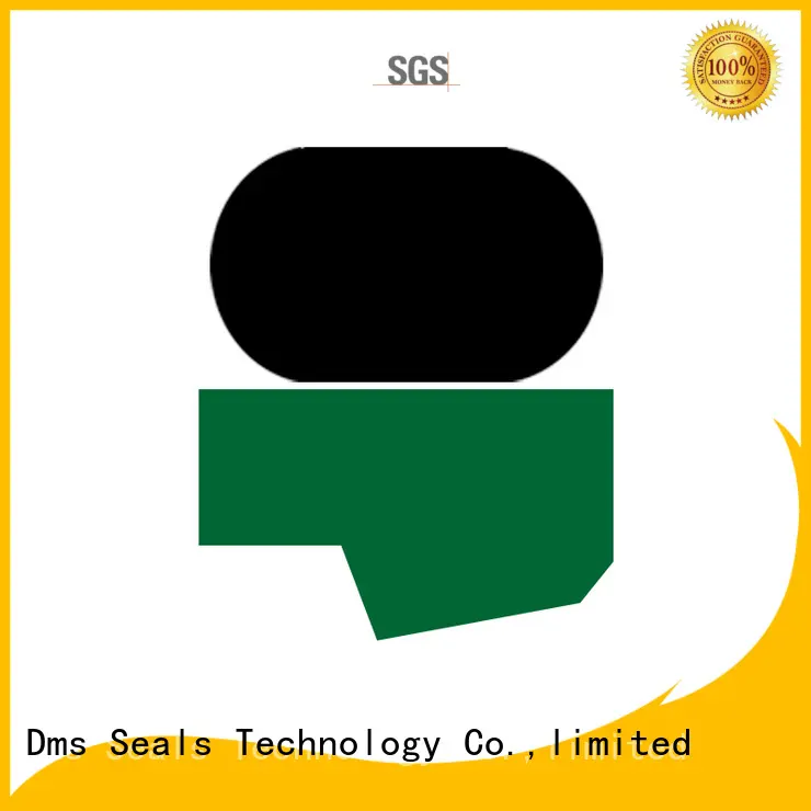 DMS Seal Manufacturer gsi rod seals supplier to high and low speed 1