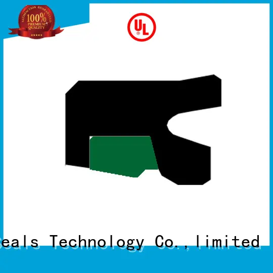 DMS Seal Manufacturer high quality hydraulic rod seals with nbr or fkm o ring for sale 1