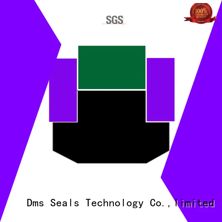 spg piston seals spgc for sale DMS Seal Manufacturer 1