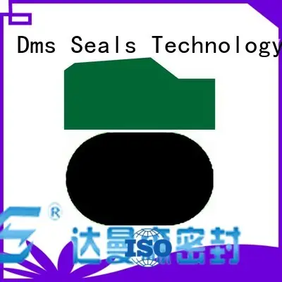 dkdf piston seals with ptfe nbr and pom for pneumatic equipment DMS Seal Manufacturer 1