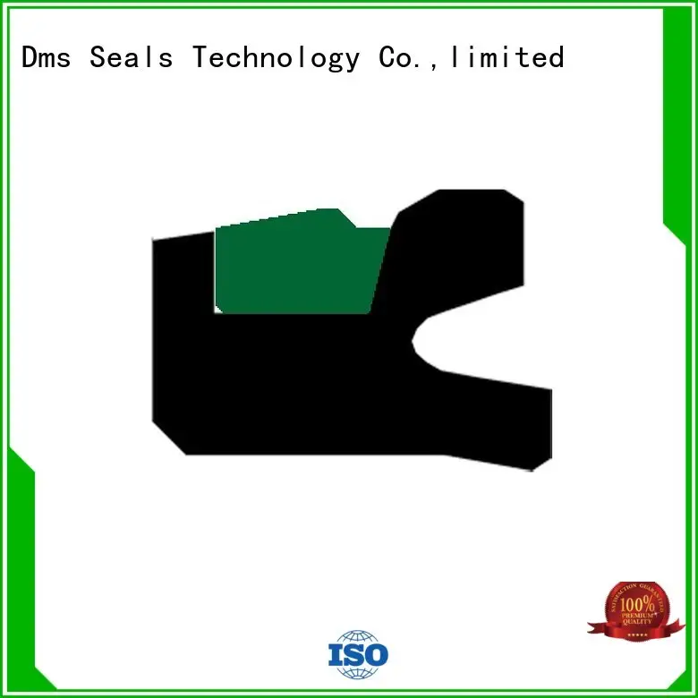 DMS Seal Manufacturer tpm hydraulic piston seals with nbr or fkm o ring for light and medium hydraulic systems 1