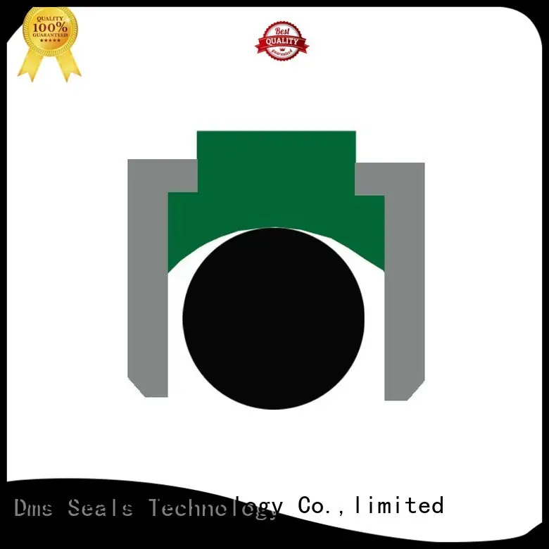 o-ring seal gsd for light and medium hydraulic systems DMS Seal Manufacturer 1