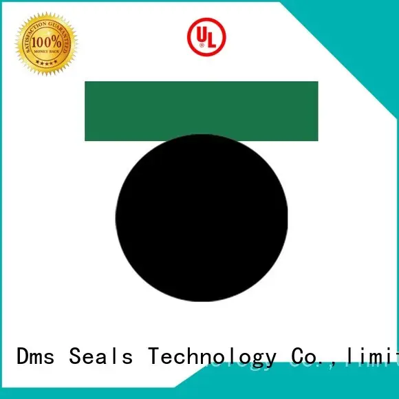 combined o-ring seal with nbr or fkm o ring for pneumatic equipment 1