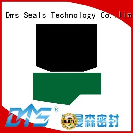 gsjw rod seal catalogue gsj to high and low speed DMS Seal Manufacturer 1