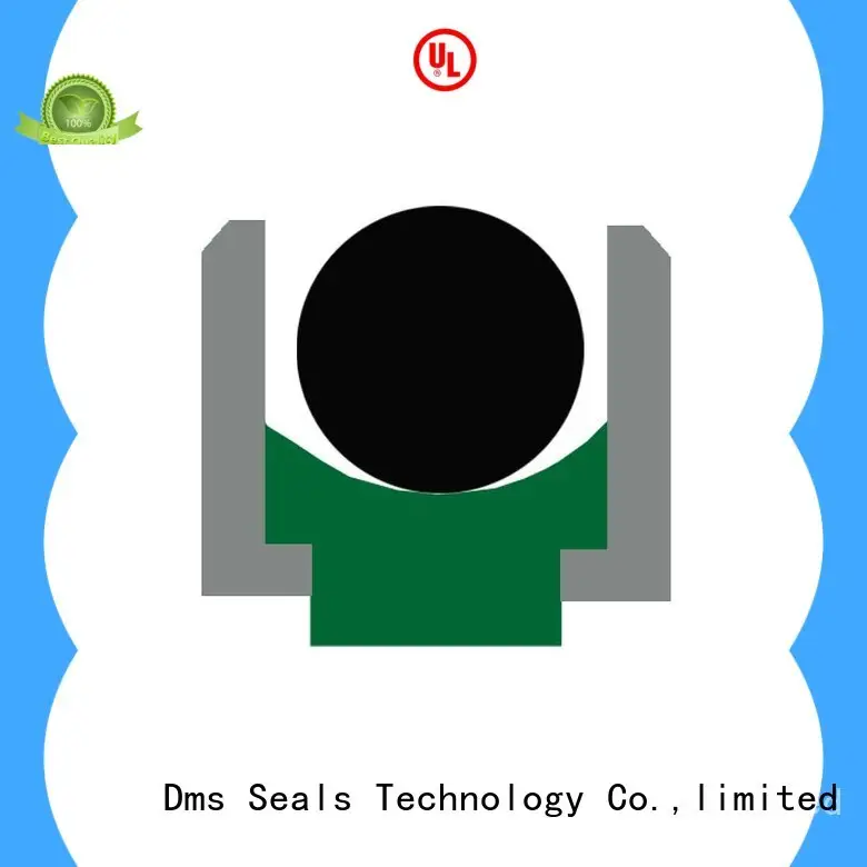 tdi hydraulic rod seals with nbr or fkm o ring to high and low speed DMS Seal Manufacturer 1