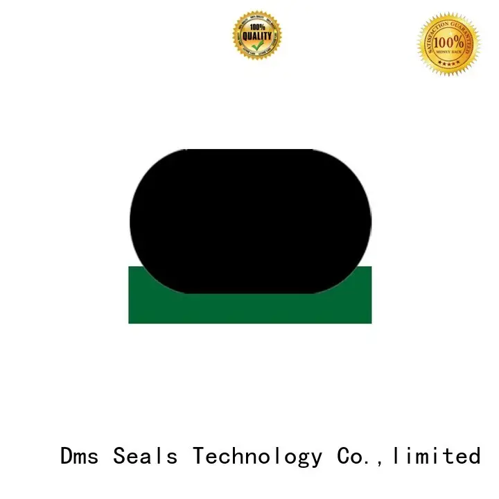 DMS Seal Manufacturer ptfe hydraulic rod seals mdi for sale 1