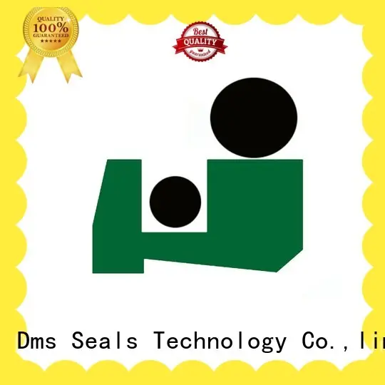dpt scraper seals gsz for injection molding machines DMS Seal Manufacturer 1