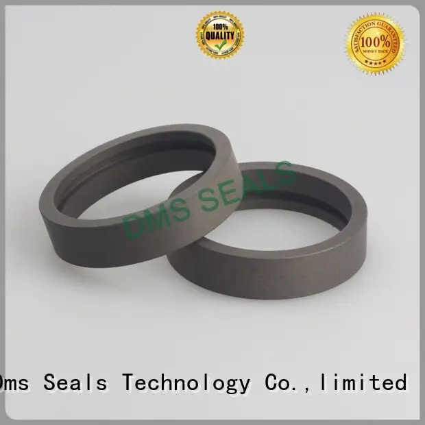 dfi oil seal manufacturer wear ring as the guide sleeve DMS Seal Manufacturer 1