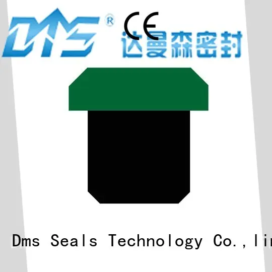 hydraulic piston seals dpt for light and medium hydraulic systems DMS Seal Manufacturer 1