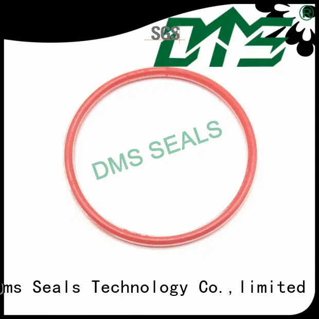 DMS Seal Manufacturer nbr o ring kit manufacturer for sale 1