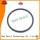 professional O Ring Manufacturer in highly aggressive chemical processing DMS Seal Manufacturer 1