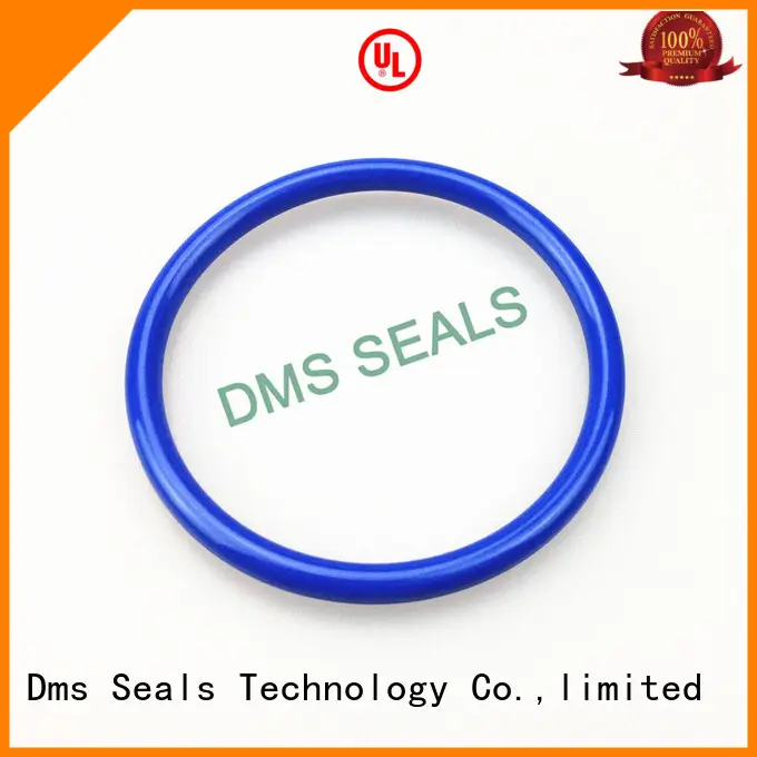 DMS Seal Manufacturer pfa o ring kit manufacturer professional in highly aggressive chemical processing 1