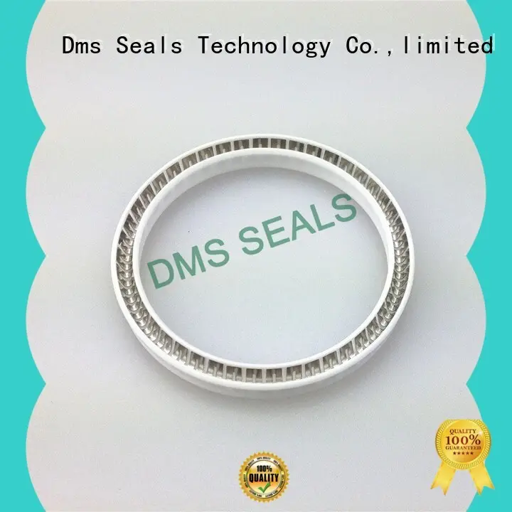 spring energized seals fda for aviation DMS Seal Manufacturer 1