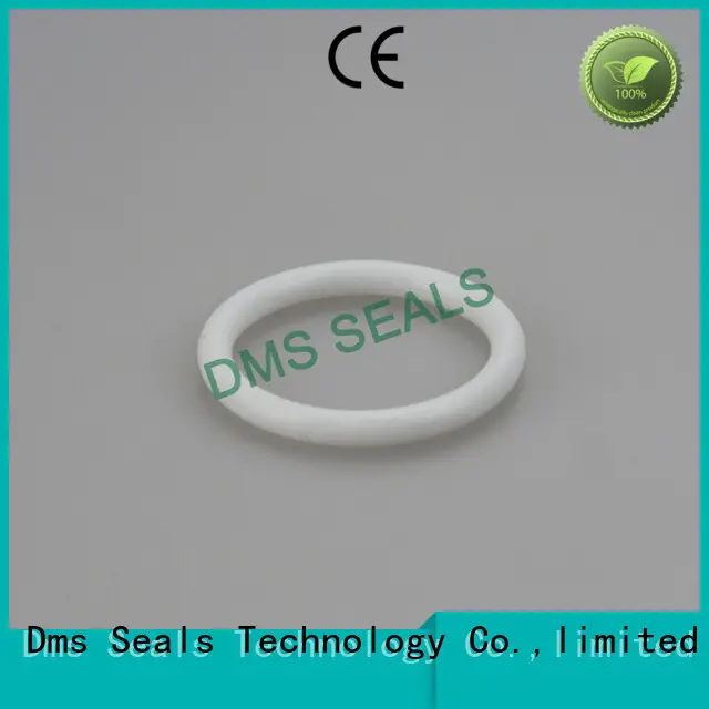 custom hydraulic wiper seals professional for sale DMS Seal Manufacturer 1
