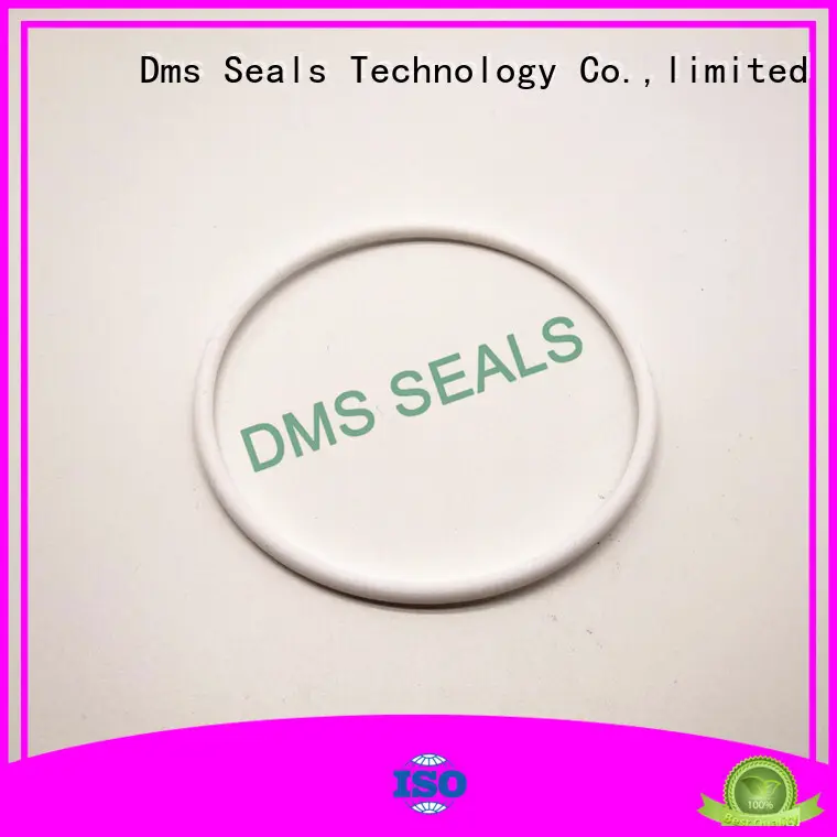 high end o ring seal manufacturer professional in highly aggressive chemical processing DMS Seal Manufacturer 1
