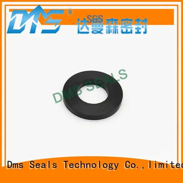 DMS Seal Manufacturer hot sale Gasket ring for liquefied gas 1