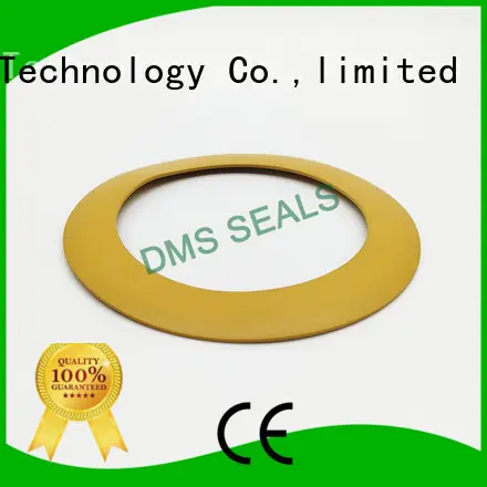DMS Seal Manufacturer plastic vacuum gasket material for liquefied gas 1