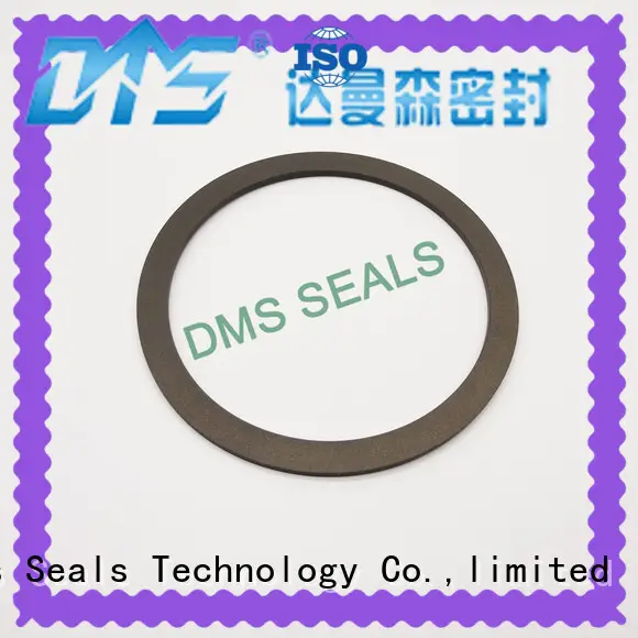 custom viton gasket hot sale for preventing the seal from being squeezed DMS Seal Manufacturer 1
