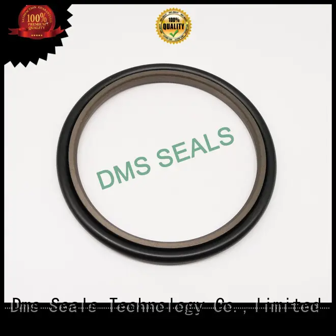 hydraulic oil seal custom for larger piston clearance DMS Seal Manufacturer 1