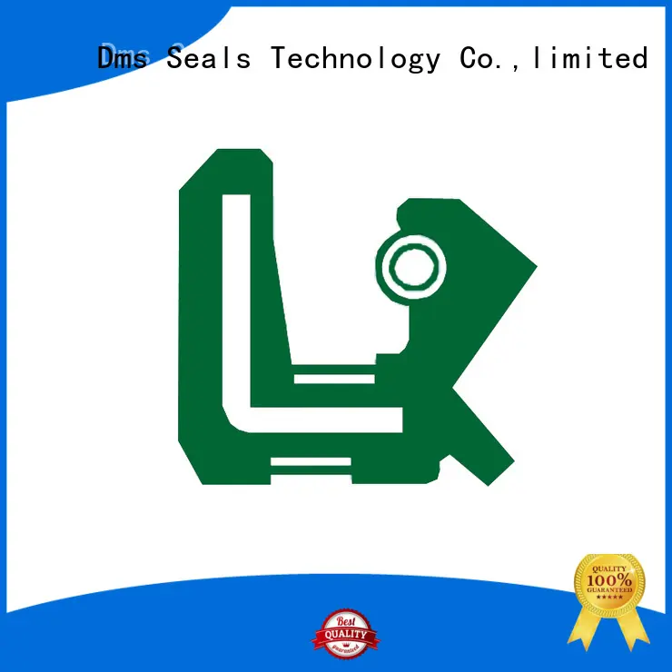 tc oil seal tc hot sale for sale DMS Seal Manufacturer 1