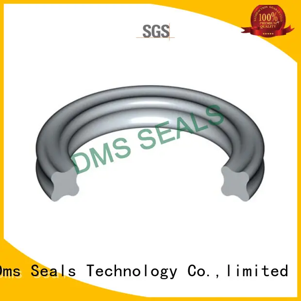 DMS Seal Manufacturer fep o ring seal kit custom in highly aggressive chemical processing 1