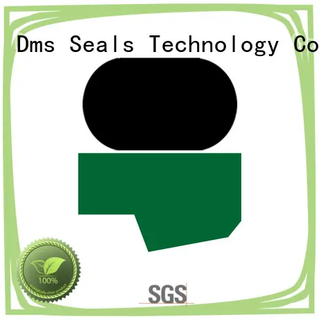 DMS Seal Manufacturer high quality hydraulic rod seals supplier for pressure work and sliding high speed occasions 1