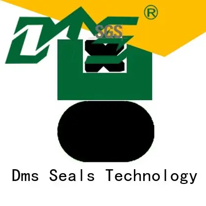 DMS Seal Manufacturer ptfe hydraulic piston seals with nbr or fkm o ring for pneumatic equipment 1