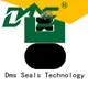 DMS Seal Manufacturer ptfe hydraulic piston seals with nbr or fkm o ring for pneumatic equipment 1