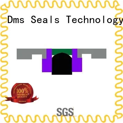 DMS Seal Manufacturer bronze piston seals gsd for sale 1